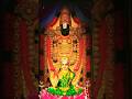 Tirumala trupati Sri Balaji Arati, #shorts #viral #trending #sri #tirumala #tirupati #balaji #arati.