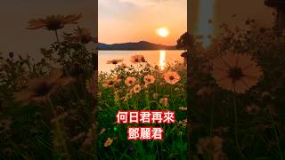 鄧麗君 名曲「何日君再來」❤️💯🌹👍超級好聽❤️，有中國人的地方，就有鄧麗君美好的歌聲❤️ #十億個掌聲👏#鄧麗君 #何日君再來