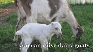 Raising Goats Naturally trailer