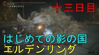 エルデンリングdlc　初めての影の国十三日目