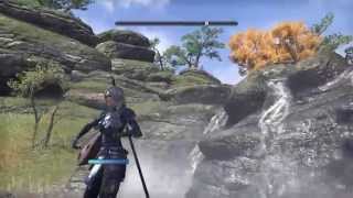 Everybody‘s a Critic - ELDER SCROLLS: ONLINE