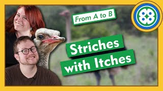 Is That Ostrich Flirting With Me? - From A to B