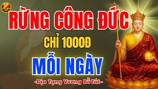 Địa Tạng Vương Dạy Tích 1 Rừng Công Đức Chỉ 1000đ Mỗi Ngày – Bí Quyết Tu Tại Gia