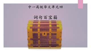 中一高级华文单元四 ：词句百宝箱 Sec 1 HCL Unit 4: Good Sentences Compilation