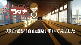 JR白老駅「自由通路」歩いてみました