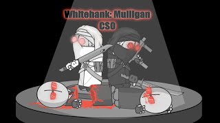 Whitehank CSO beginning progress