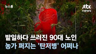 밭일하다 쓰러진 90대 노인…농가 퍼지는 '탄저병' 어쩌나 / JTBC 뉴스룸