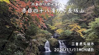 雨あがりで水量たっぷり赤目四十八滝散策と長坂山