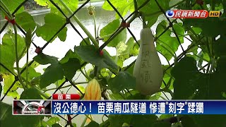 沒公德心！ 苗栗南瓜隧道 慘遭「刻字」蹂躪－民視新聞