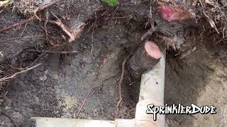 Sprinklerdude Repairs A Main Line