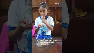 Bebibles fortalecen alimentación escolar en Iquitos