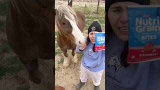 Chicken Nugget’s Birthday Dollar Store Treat Haul part 1