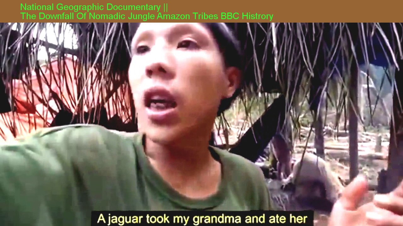 Amazon Jungle Documentary National Geographic