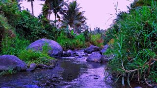 SOOTHING MOUNTAIN RIVER SOUNDS FOR RELAXATION, SLEEP, AND STRESS RELIEF