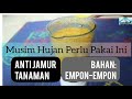 Cara Membuat Fungisida Organik dari Empon-empon || Anti Jamur Semua Tanaman