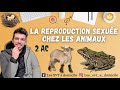 La reproduction chez les animaux - 2AC - التوالد عند الحيوانات