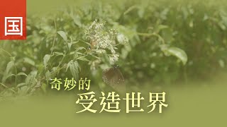 ⟪奇妙的受造世界⟫ - 电视见证 TV1778 (HD国语) #管理 #受造世界