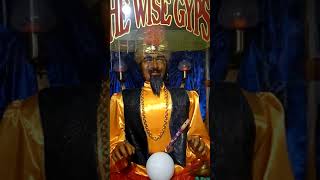 Robot Fortune Teller Zoltar the Wise Gypsy