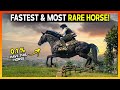 Top 5 Best, Fastest & MOST Rare Horses - RDR 2