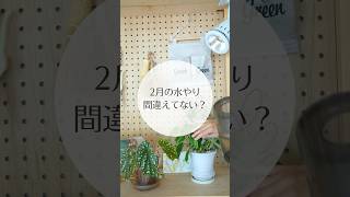 【今油断すると春前に枯れる】2月の水やりも慎重に