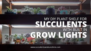 See how we built my DIY plant shelf for succulents