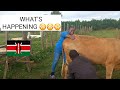 CULTURE SHOCK AS A NIGERIAN IN A KENYAN VILLAGE 😳