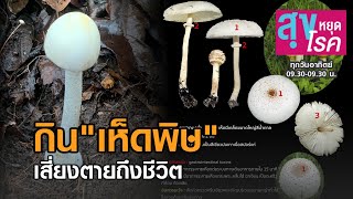 ฝนนี้ระวังเก็บเห็ดพิษกินเสี่ยงตาย l สุขหยุดโรค l 12 07 63