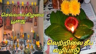 தினமும் நாம் செய்யும் பூஜையால் ஏற்படும் மாற்றம்/#poojavlog #1ksubscribers