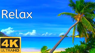 Relaxing Sounds of Waves Calming Sea - Tropical Beach Relaxation Birds Singing