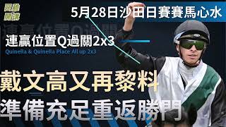 5月28日 沙田日馬賽事HKJC 連贏位置Q過關2x3| 戴文高又再黎料 準備充足重返勝門