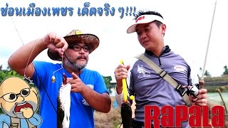 Angler Trip: ปิง ปิง ล้านหมาย มีเยอะจนเลือกไม่ถูก