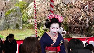 芸舞妓さんがお点前北野天満宮「梅花祭」