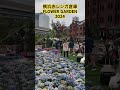 2024年4月上旬　終末　横浜赤レンガ倉庫 flower garden 2024 の様子 その2