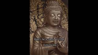 BUDDHA'S WAY - “ Don't Be A Slave To Your...”