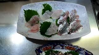 釣ってきた魚を料理して食べます　メジナの刺身　べらの刺身　アジの刺身とタタキを