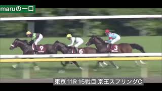 タイムトゥヘヴン 15戦目                     京王杯スプリングカップ（G2）         芝 1400m東京競馬場 11R 15:45