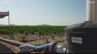 How Arizona farmers are working to conserve water amid the state's drought