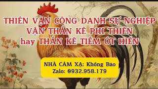 THIÊN VẬN SỰ NGHIỆP TUỔI DẬU 2025