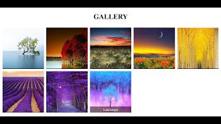 How To Create A Slideshow | HTML & CSS | jQuery Code | Easy & Quick