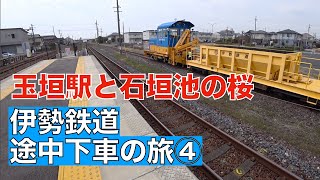 残念な花見と玉垣駅の車輌たち　伊勢鉄道途中下車の旅④