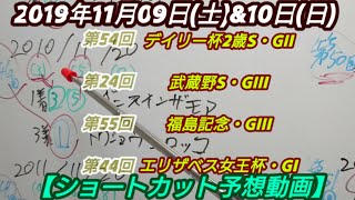 第54回デイリー杯2歳・GII\u0026第24回武蔵野S・GIII\u0026第55回福島記念・GIII\u0026第44回エリザベス女王杯・GI(2019/11/09(土)\u002610(日))【ショートカット予想動画】