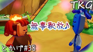 【無事釈放♪】とかげのマリオ＆ルイージRPG ブラザーシップ! #38