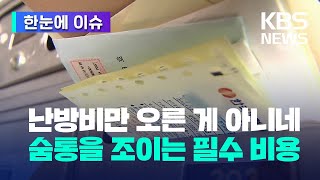 [한눈에 이슈] '난방비만 오른 게 아니었네'…내 숨통을 조이는 필수 비용 / KBS 2023.02.01.