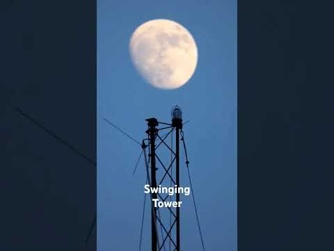 Swinging Tower. Moon and bird under the Moon. #viral #nature #moon #zoom