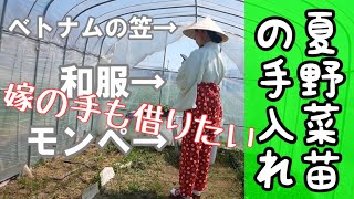 発芽後２週間の生育の様子と手入れ【夏野菜の育苗】2020年3月23日～4月10日