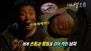 ※바선생 주의※ 상상하기도 싫은 바퀴벌레가 내 몸을 갉아 먹었다면...?;;  l KBS 위기탈출 넘버원 200331방송