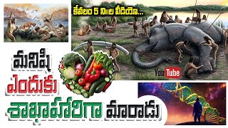 మనిషి ఎందుకు శాఖాహారిగా మారాడు | Why did man become a vegetarian? in telugu #imb