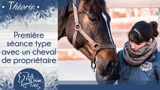 • THÉORIE • Première séance type avec un cheval de propriétaire