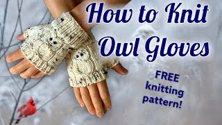 How to Knit Fingerless Owl Gloves or Mitts - FREE Knitting Pattern - Learn to Knit #knitting #knit