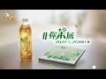 龚俊康师傅茉莉茶品牌代言人